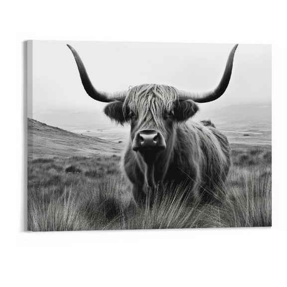 JRXY Highland Cow Wall Art Canvas Black and White Artwork 20x16 inch Framed for Living Room Bathroom Decor 20x16in