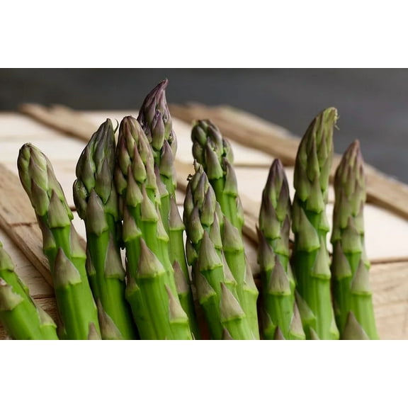 150 Mary Washington Asparagus Seeds - Non-GMO - Heirloom Asparagus