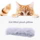 thumbnail image 5 of Juguetes para gatos, hierba gatera interactiva, sonido, palo de felpa, productos para jugar, accesorios para mascotas, 5 of 5