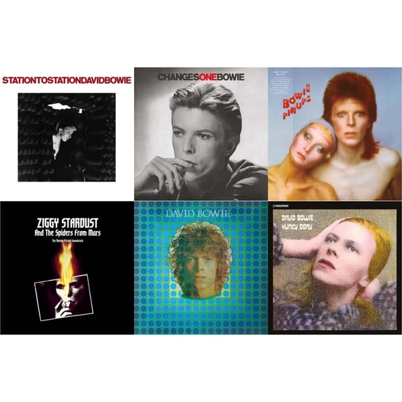 Station To Station (2016 Remastered Version) & Changesonebowie (180G) & Pinups (2015 Remaster) & Ziggy Stardust & The Spiders From Mars Ost (2LP) & David Bowie Aka Space Oddity & Hunky Dory