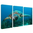 thumbnail image 4 of Ready2HangArt  'Turtle' 3-Piece Wrapped Canvas Wall Art Set, 4 of 5