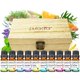 thumbnail image 1 of Pura D'Or Aceites Esenciales Orgánicos Juego De 10 10Ml Perfect10 Caja De Madera Regalo Aromaterapia 100% Pura De Grado Terapéutico Para Difusores Del Hogar (Lavanda Árbol De Té Eucalipto Limón Cedro, 1 of 6