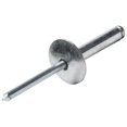 thumbnail image 1 of Allstar Performance ALL18030 Large Head Rivet, Silver - Pack of 250, 1 of 1
