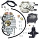 thumbnail image 1 of Carburador para 400 425 500 Trail Boss 325 330 MAGNUM 325 330 550 2X4 con bomba de combustible 1203059 p20241126770, 1 of 5