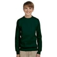 thumbnail image 3 of Hanes ComfortBlend EcoSmart Boy`s Crewneck Sweatshirt, L, Ash, 3 of 4