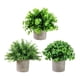 thumbnail image 4 of Plantas artificiales en maceta Strade Fareast Limited 3 piezas decorativas de imitación, 4 of 8