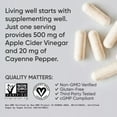 Wellvita Apple Cider Vinegar 520mg 120 Capsules Organic Cayenne Pepper