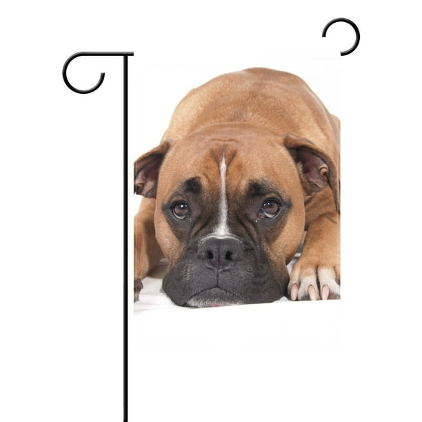 Popcreation Beautiful Boxer Dog Garden Flag Summer Ocean Sea Sunset 28x40 Inches Outdoor Home Party Com Popcreation Beautiful Boxer Dog Garden, Boxer Dog Garden Flags