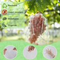 thumbnail image 2 of 50 x Bolsas protectoras para frutas, bolsas de protección para uvas, bolsas de organza reutilizables para jardín con cordón para protección contra avispas y pájaros, 30 cm x 20 cm, blancas, 2 of 5