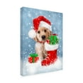 thumbnail image 2 of MAKIKO 'Puppy With Santa's Hat' Canvas Art, 2 of 3