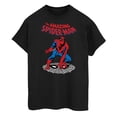 thumbnail image 1 of The Amazing Spider-Man Boys Cotton T-Shirt, 1 of 2