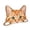 A003- C, variant on Wooden Peeking Cat Ornament with Hand-Painted Ginger Tabby Design, Single Piece, Orange and White, for Cat Lovers, Desk Decoration