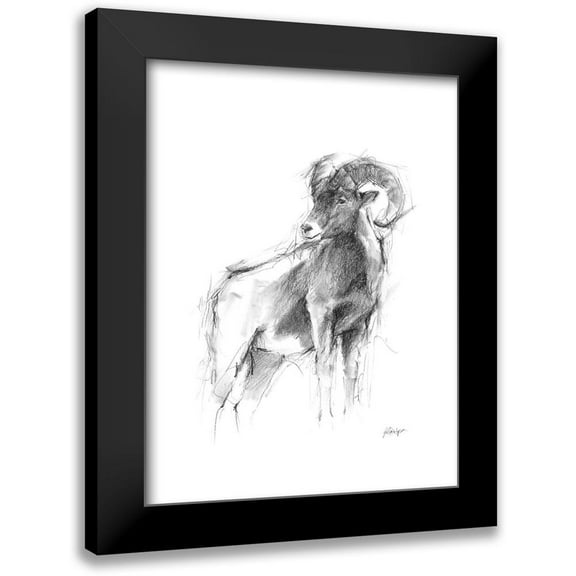 Harper, Ethan 12x14 Black Modern Framed Museum Art Print Titled - Western Animal Sketch III