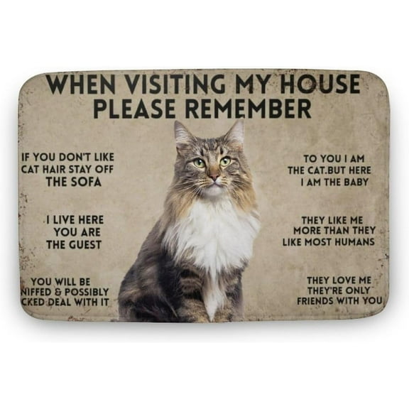 When Visiting My House Please Remember Cat Door Mat Outdoor Indoor Welcome Mats Cute Cat Front Doormat Non Slip Entrance Rugs for Front Door Inside Outside Entry Porch 17x30 Inch