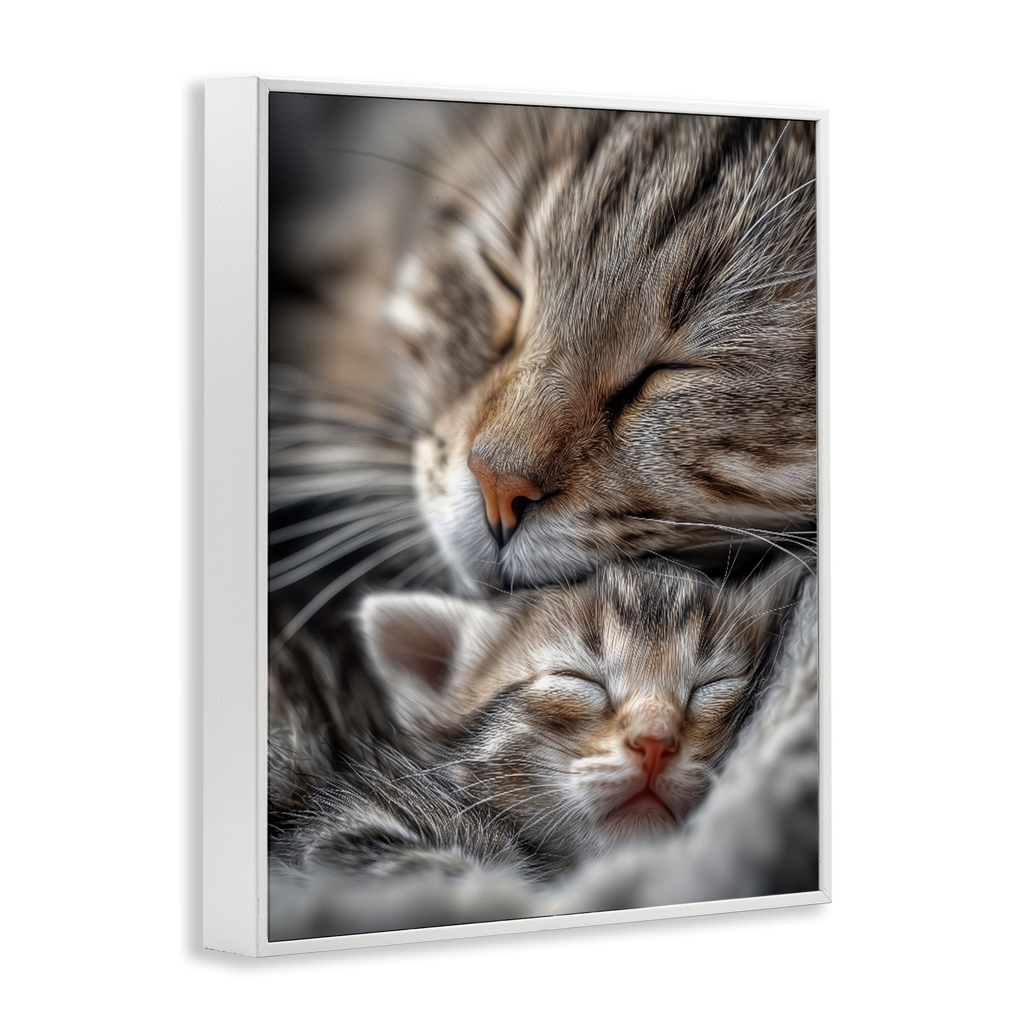 Stupell Industries Kitty Love Cuddles White Framed Giclee Art, design by Scott Stulberg