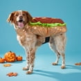 thumbnail image 2 of Vibrant Life Halloween Hot Dog Costume for Dogs, Multicolor, M, 2 of 6