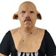 thumbnail image 1 of Máscara de látex para cosplay con forma de cerdo, carnaval, pascua, 380 g, 1 of 2