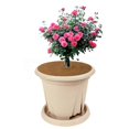 thumbnail image 4 of Flower Pot Mats Flower Pot Shielding Mats Tree Fence Mats Anti-Weed Mats Flower Pot Decorative Mats Garden Plants 30cm, 4 of 5