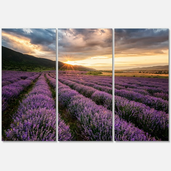 Designart ' Dramatic Clouds and Sunrise Over Lavender Field VI ' Farmhouse Canvas Wall Art Print