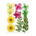 thumbnail image 1 of Dried Flowers Set DIY Tools Photography Set Real Flower Decal Handicraft Filling Pressed Specimen Label for Craft Necklace Mixed Color, 1 of 6