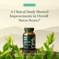 thumbnail image 3 of Gaia Herbs Ashwagandha Root - Stress Relief & Sleep Support Supplement - Supports Balanced Energy Levels & Positive Outlook* - 60 Vegan Liquid Phyto-Caps (30 Servings), 3 of 9