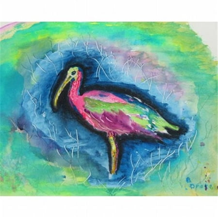 

Betsy Drake PM439 Glossy Ibis Place Mat - Set of 4