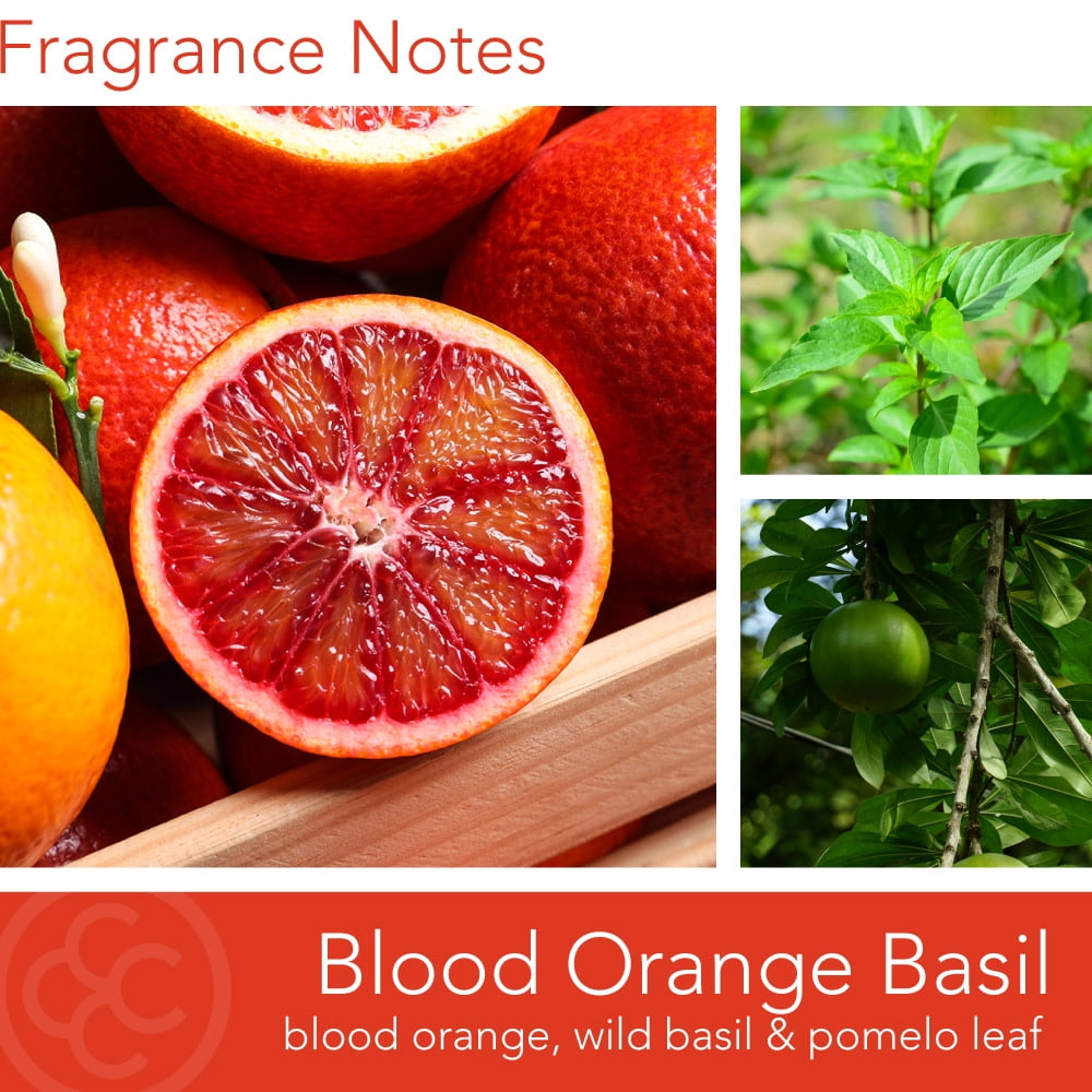 Colonial Candle Blood Orange Basil 3 Wick Candle, 14.5 oz, Orange