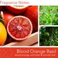 thumbnail image 2 of Colonial Candle Blood Orange Basil 3 Wick Candle, 14.5 oz, Orange, 2 of 8