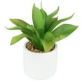 thumbnail image 3 of Northlight Artificial Mini Foxtail Agave Plant in a White Pot - 8", 3 of 7