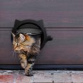 thumbnail image 2 of Chien de Porte Chat Trou d'Accès Direction Contrôlable Jouet pour Animal de Compagnie de Formation Couleur: Noir, 2 of 8