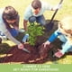 thumbnail image 2 of Juego de herramientas de jardín, paquete de 3 palas de jardín de aleación de aluminio con mango ergonómico antideslizante de goma, paleta incluida, paleta de trasplante y rastrillo de mano para culti Namotu WMPH-1145, 2 of 7