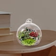 thumbnail image 6 of 12Pcs Clear Glass Terrarium with Hook for Storage Smooth Surface Creative Bottle Plant, 6 of 6