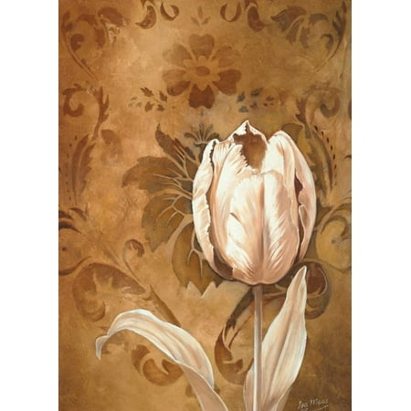 Tullip beauty II Stretched Canvas - Isa Maas (20 x