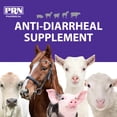 thumbnail image 3 of PRN Pharmacal Digestive Support Supplement Tablets for Horses, Cattle, Sheep, and Other Ruminant Animals 500 Count, 3 of 7