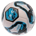 thumbnail image 2 of Tottenham Hotspur FC Tracer Football, 2 of 3
