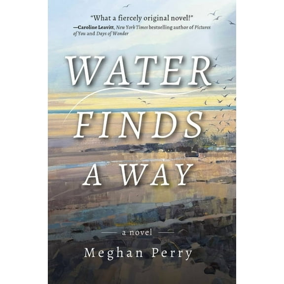 Water Finds a Way a Novel, (Paperback)