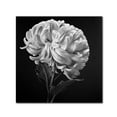 thumbnail image 2 of Trademark Fine Art "Mum II" Canvas Art by Michael Harrison, 2 of 4