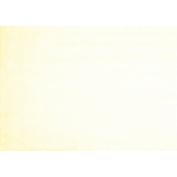 Ahgly Company Indoor Rectangle Solid Yellow Modern Area Rugs, 2' x 5'