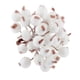thumbnail image 1 of 200x Mini Flor Bayas Acebo Artificial Decoración árbol de Navidad Blanco, 1 of 8