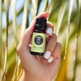 thumbnail image 2 of Edens Garden Coriander Seed Essential Oil- 100% Pure Premium Grade, Undiluted, Natural, Therapeutic, Aromatherapy, The Best for Diffuser, Skin, Candle, Kid Safe 10 ml (.33 fl oz), 2 of 9