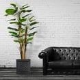 thumbnail image 3 of 72" Tall Scindapsus Artificial Indoor/ Outdoor Faux Contemporary Aureus Burlap and Fiberstone Planter By Minx NY, 3 of 4