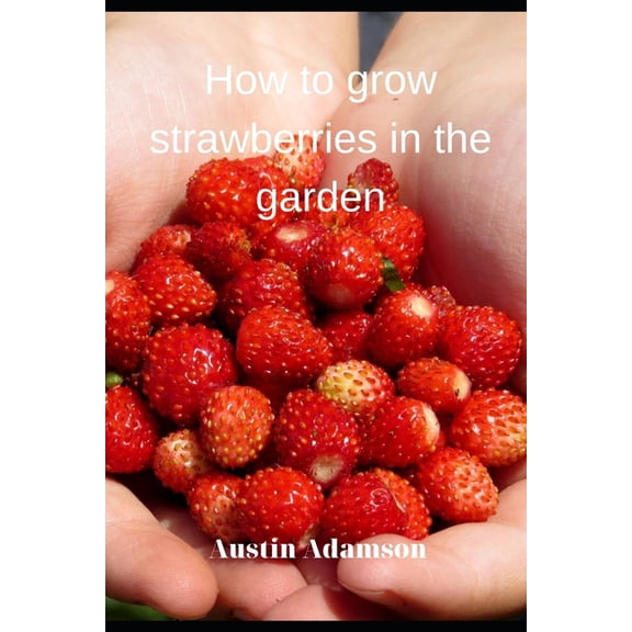 How to grow strawberries in the garden (Paperback)