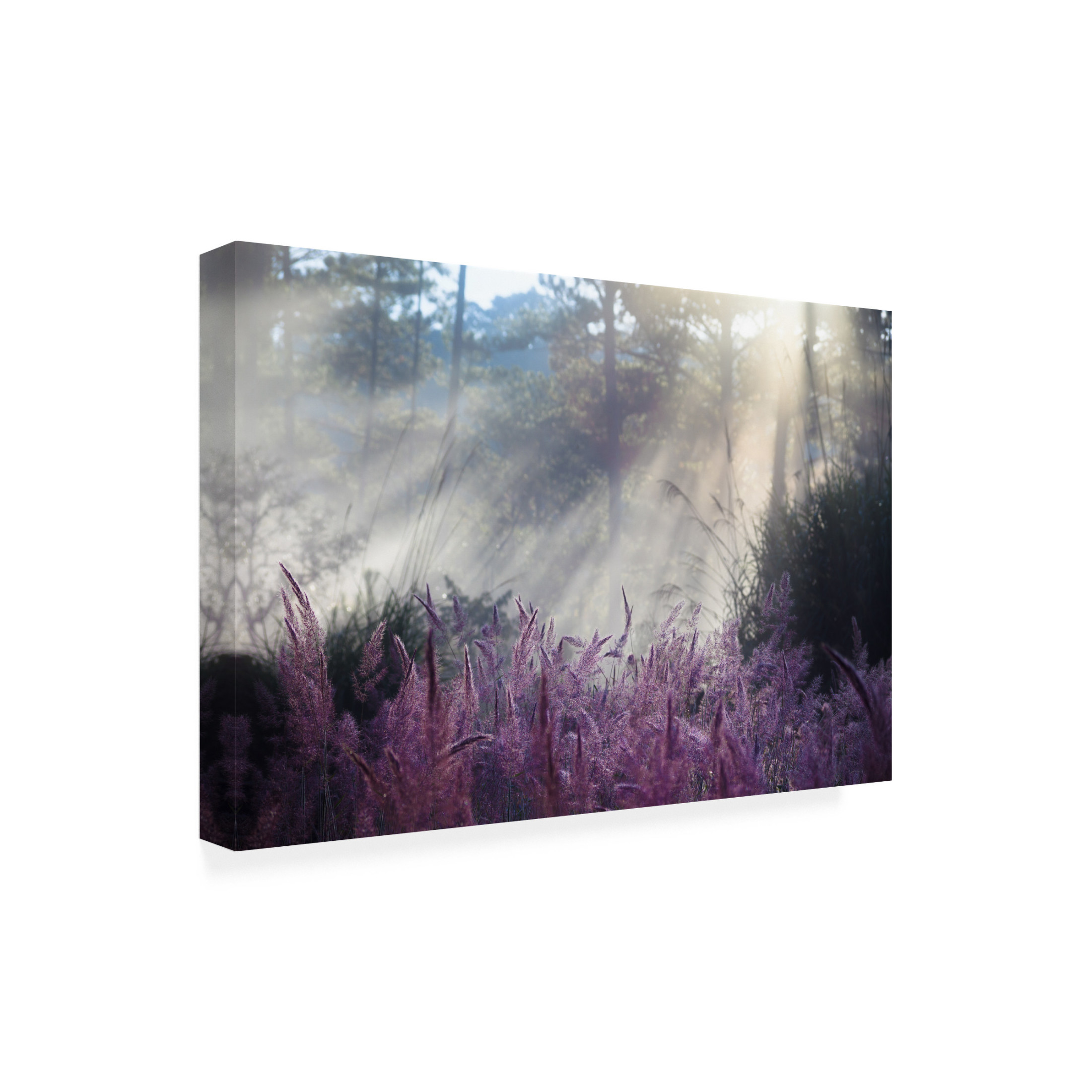 Canvas Wall Art - Nguy?n Thanh Tung 'Spring' Wall Art for Living Room, Bedroom, or Office D?cor by Trademark Fine Art - 19 x 12 Inches