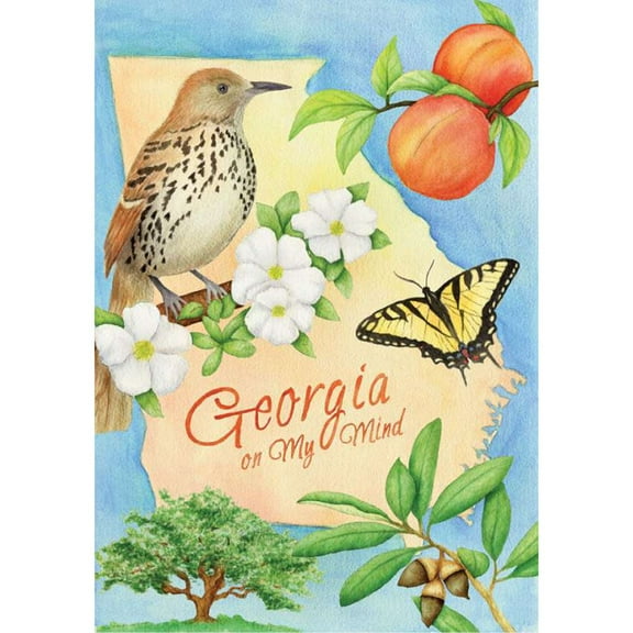 Premier Illuminated House Flag - Georgia