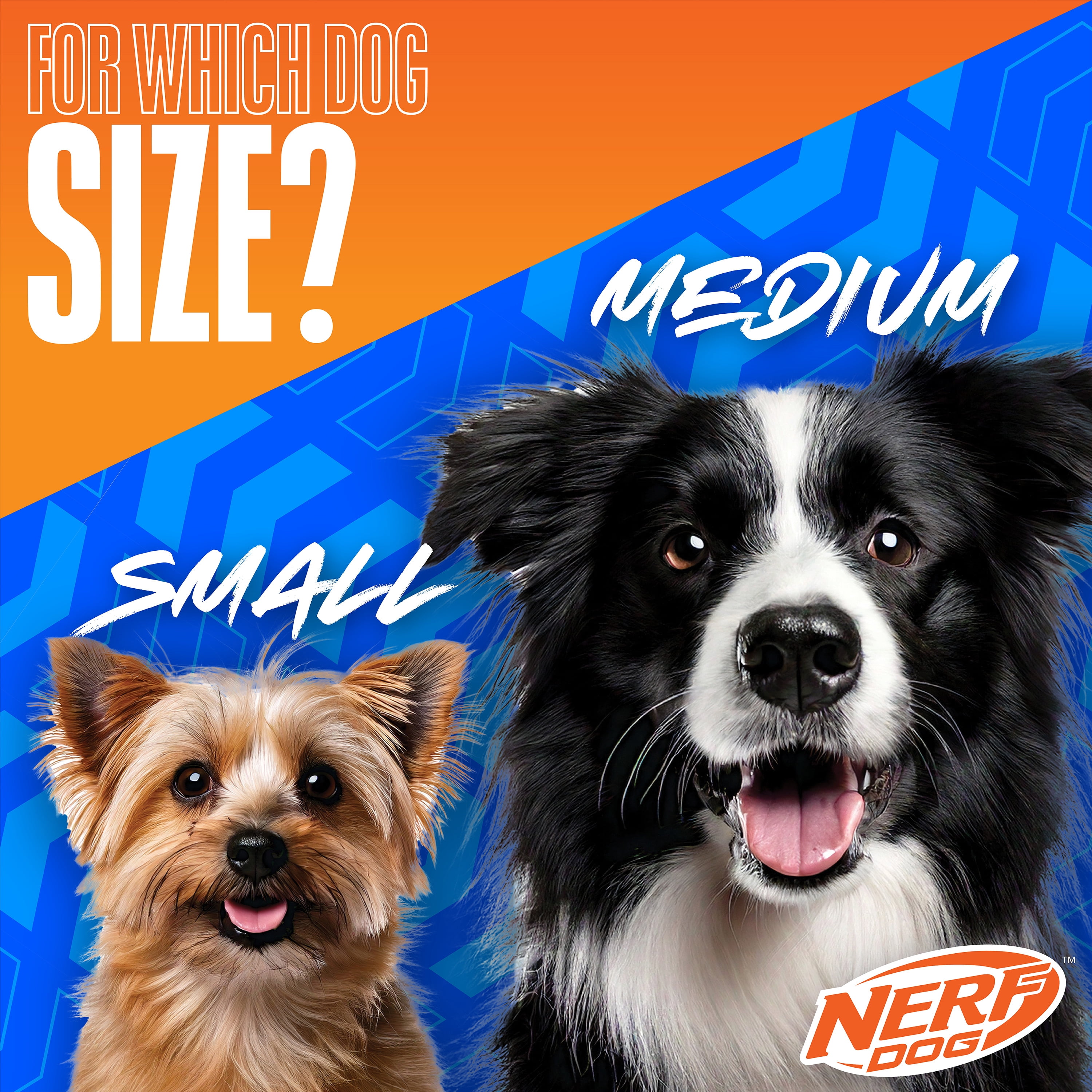 Nerf Dog Tennis Ball Blaster Dog Toy with 3 Balls, 12 inches
