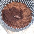 thumbnail image 6 of Plant Root Control Trainer Fast Root Grow Container Transplant Tool Nursery Pot, 6 of 14