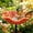 Orange, variant on Handmade Metal Flower Garden Stakes Bird Bath, 23in Outdoor Bee Water Feeder and Pollinator Station, Multi Functional Wild Bird Feeder Bowl Tray for Yard Patio Decoration