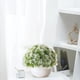 thumbnail image 5 of Artificial Plant Pot, Small Potted Decoration, Living Room Countertops Windowsills, Desktop Greenery, Home Decor, Artificial Plants for Home, Realistic Touch, Stylized Design, High Traffic Plants,, 5 of 8