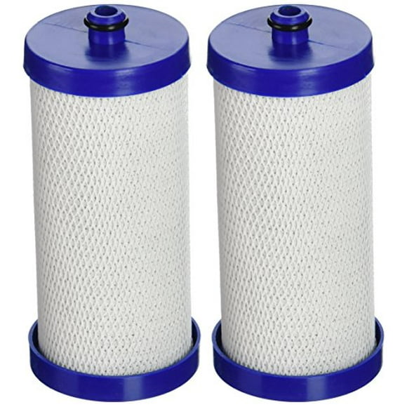 Aqua Fresh WF284 Replacement for Frigidaire WFCB (Pack of 2)