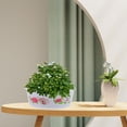 thumbnail image 1 of unbranded 4Pcs Simple Bright Artistic Plant Container for Balcony and Patio Decor, 1 of 7